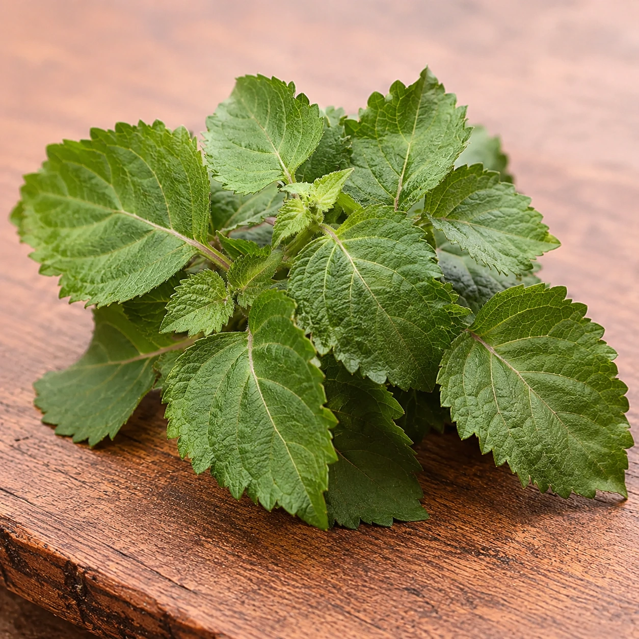 Patchouli